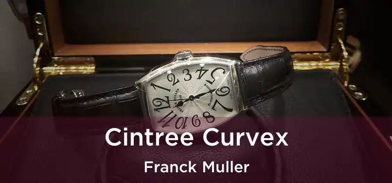  Cintree Curvex Franck Muller