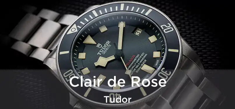  Clair de Rose Tudor